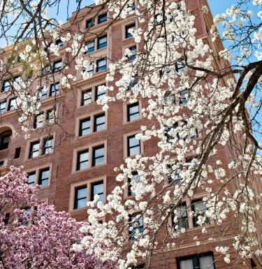 Flowers in front of a building