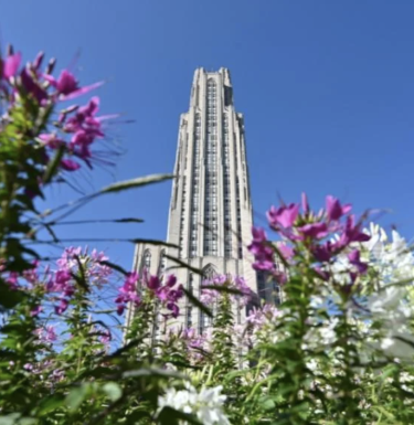 Cathedral of Learning behind purple flowers