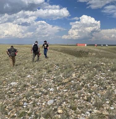 Frederick Honors College students carried pink flags to mark where artifacts are found on the surface at the Alan L. Cook Spring Creek Preserve site in southeastern Wyoming in the summer of 2023. Pictured, from left, are Pitt students Maya Muttathil, Dan Garner, Jim Johnson, and Sophia Freemyer.